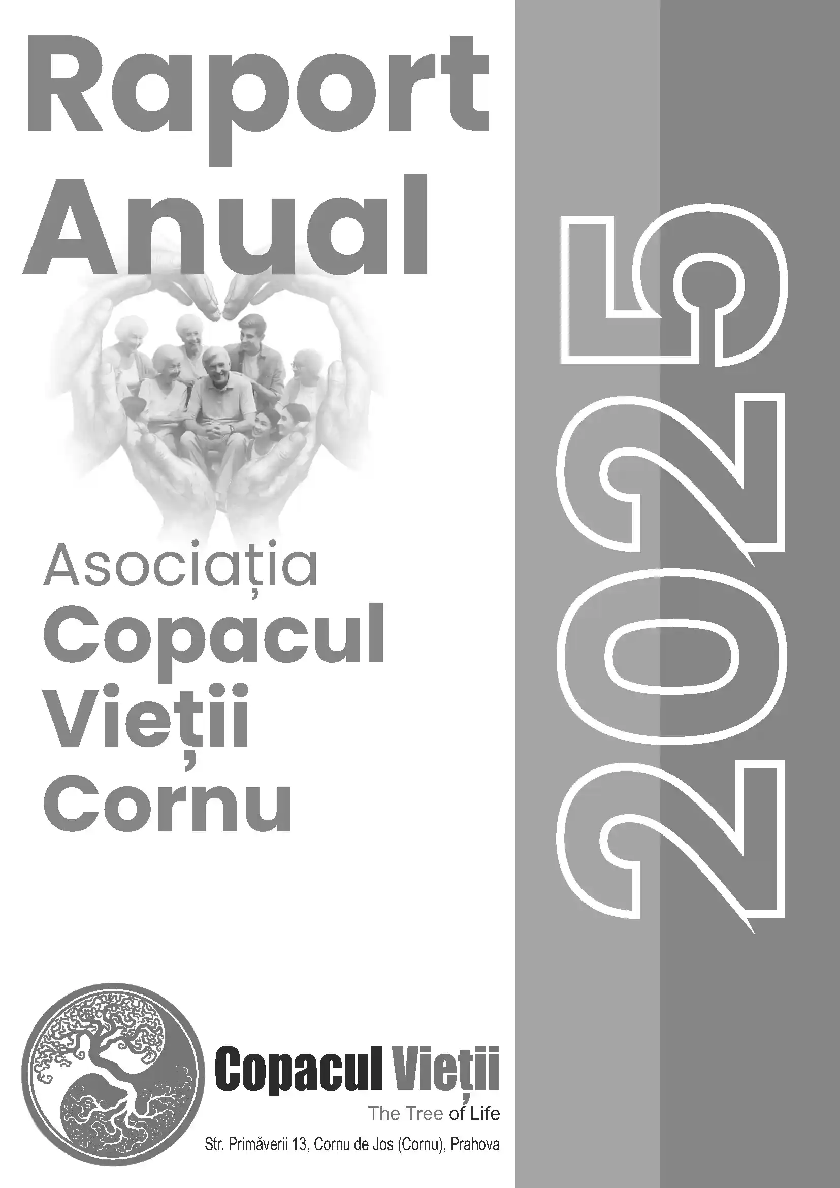 Raport activitate 2024